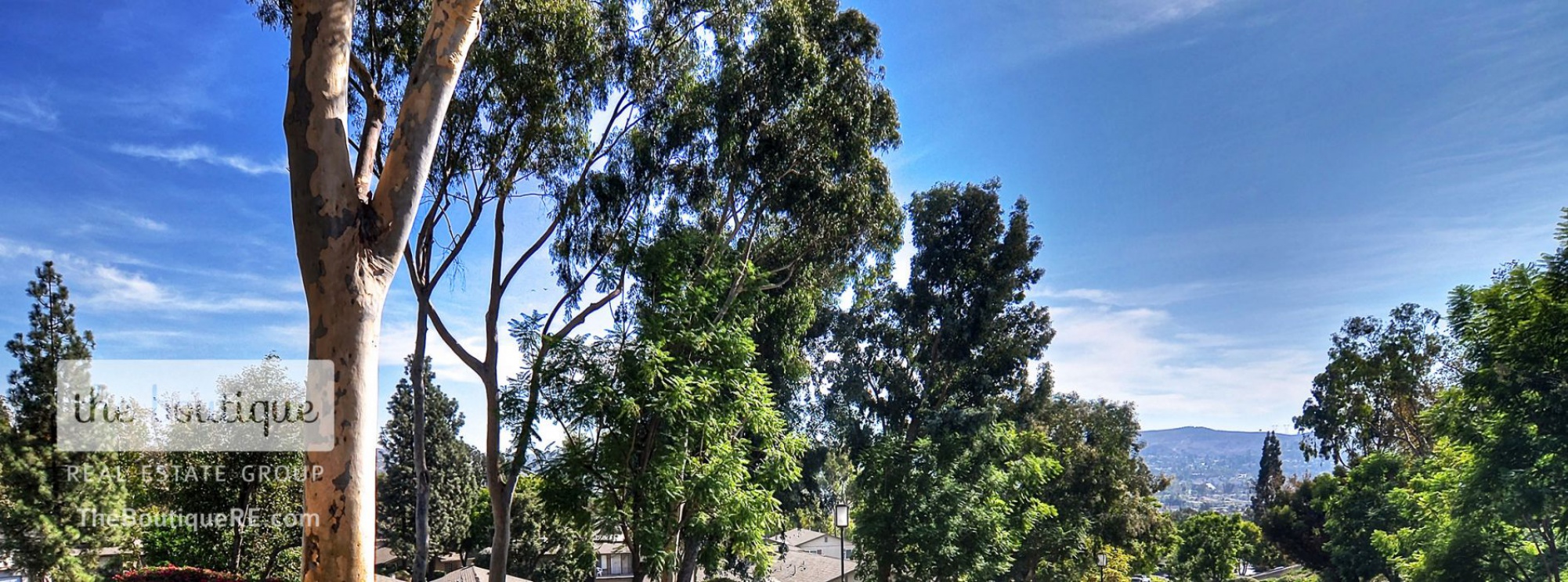 19957 Apple Creek Lane , Yorba Linda CA: