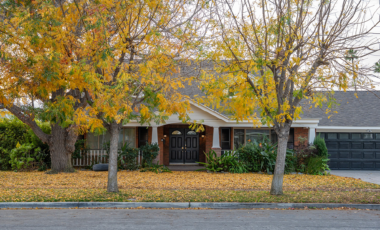 2039 S Eileen Dr, Anaheim CA: 