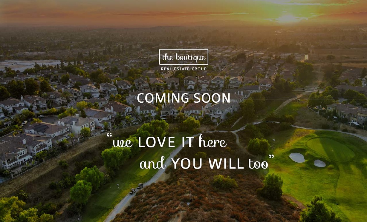 411 S Rosemary Ln, Anaheim Hills CA: 