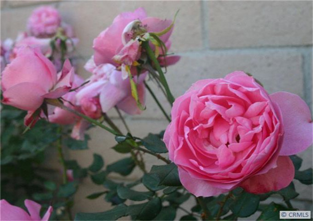 16222 Red Coach Ln, Whittier CA: